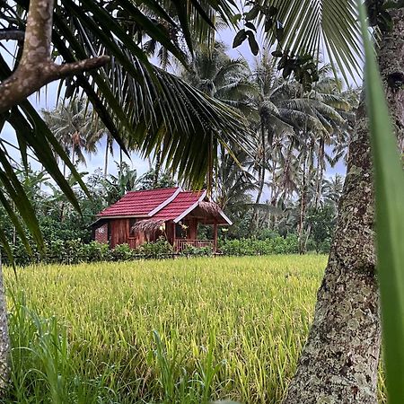 Syaqila Homestay Lombok Tetebatu Exterior photo